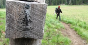 Pacific-Crest-Trail Marker-Blaze-Oregon